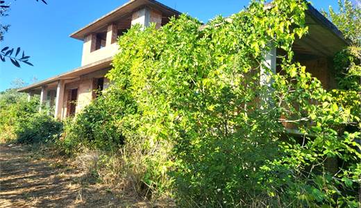VILLA SINGOLA CON CAPANNONE ARTIGIANALE E 26000 METRI QUADRATI CON TERRENO